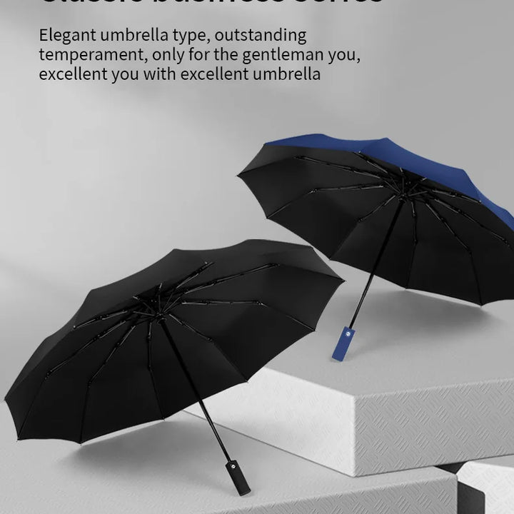 12 Bones Windproof Double Layer Resistant Umbrella Fully Automatic Rain Men Women Luxury Business Male Large Umbrellas Parasol