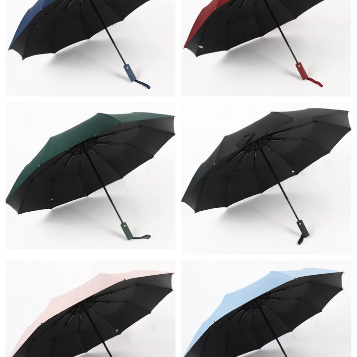 12 Bones Windproof Double Layer Resistant Umbrella Fully Automatic Rain Men Women Luxury Business Male Large Umbrellas Parasol